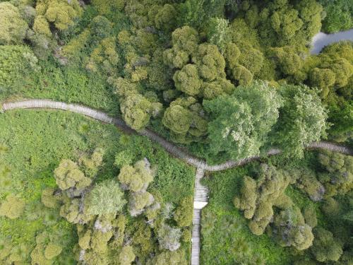 DJI_3050.JPG